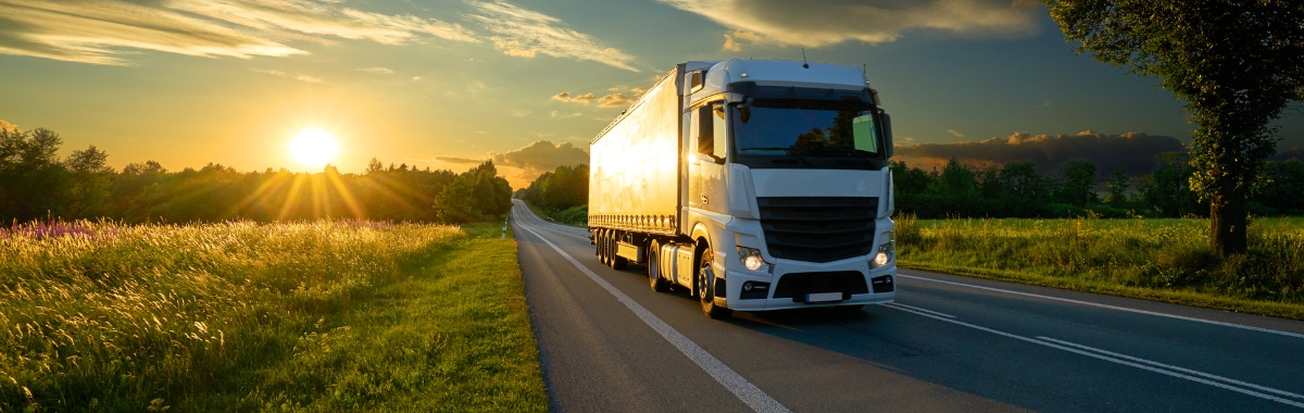 Brykiet drzewny Paleko Bydgoszcz Hurtownia dostawy całopojazdowe tir hurt